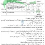 Session Court Bannu Jobs