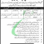  Population Welfare Department Haripur Jobs