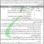 Culture Tourism & Antiquities Department Sindh Jobs 2026 Current Vacancies Culture Tourism & Antiquities Department Sindh Jobs