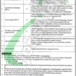 UHS Lahore Jobs