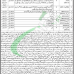 Session Court Malir Karachi Jobs