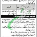 CMH Pano Aqil Jobs