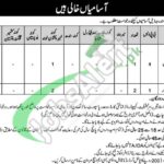 CMH Mardan Jobs