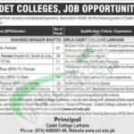 Shaheed Benazir Bhutto Girls Cadet College Larkana Jobs