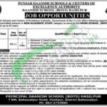 Punjab Daanish School Hasilpur Jobs