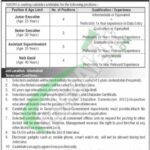 NADRA Junior Executive Jobs