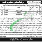 Session Court Pakpattan Jobs