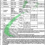 Chenab College Jhang Jobs