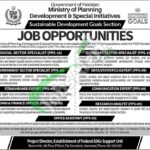 Ministry of Planning Development & Special Initiatives Jobs