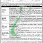 School Education & Literacy Department Sindh Jobs