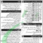 Mujahid Force Jobs