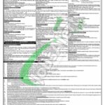 NTDC Jobs