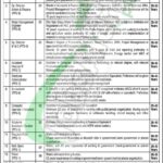 Ministry Of National Food Security and Research Jobs