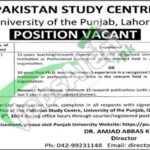 Punjab University Jobs