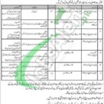 Pakistan Army Dog Centre Rawalpindi Jobs