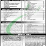 Allama Iqbal Open University Jobs