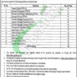 Energy Department Punjab Jobs