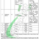 COD Rawalpindi Jobs