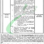 Punjab Social Protection Authority Jobs