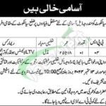 Station Headquarter Sialkot Cantt Jobs