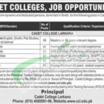 Cadet College Larakana Jobs