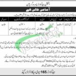 Station Health Organization Jobs