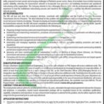 wapda ntdc jobs