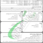 Mujahid Force Jobs