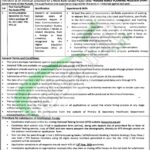 Primary and Secondary Healthcare Department Jobs