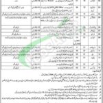 Social Welfare and Bait-Ul-Maal Punjab Jobs