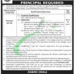 Karnal Sher Khan Cadet College Swabi Jobs