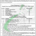 Board of Revenue Punjab Jobs