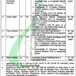 Energy Department Punjab Jobs