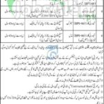 wapda jobs