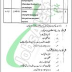 AJK Service Tribunal Jobs