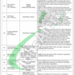 PPHI Sindh Jobs 