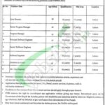 PITB Jobs