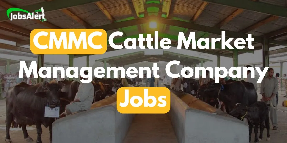 Cattle Market Management Company jobs