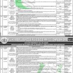 PPSC Assistant Professor Jobs
