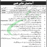 District Public School & College Kasur Jobs