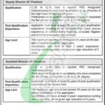 secp jobs