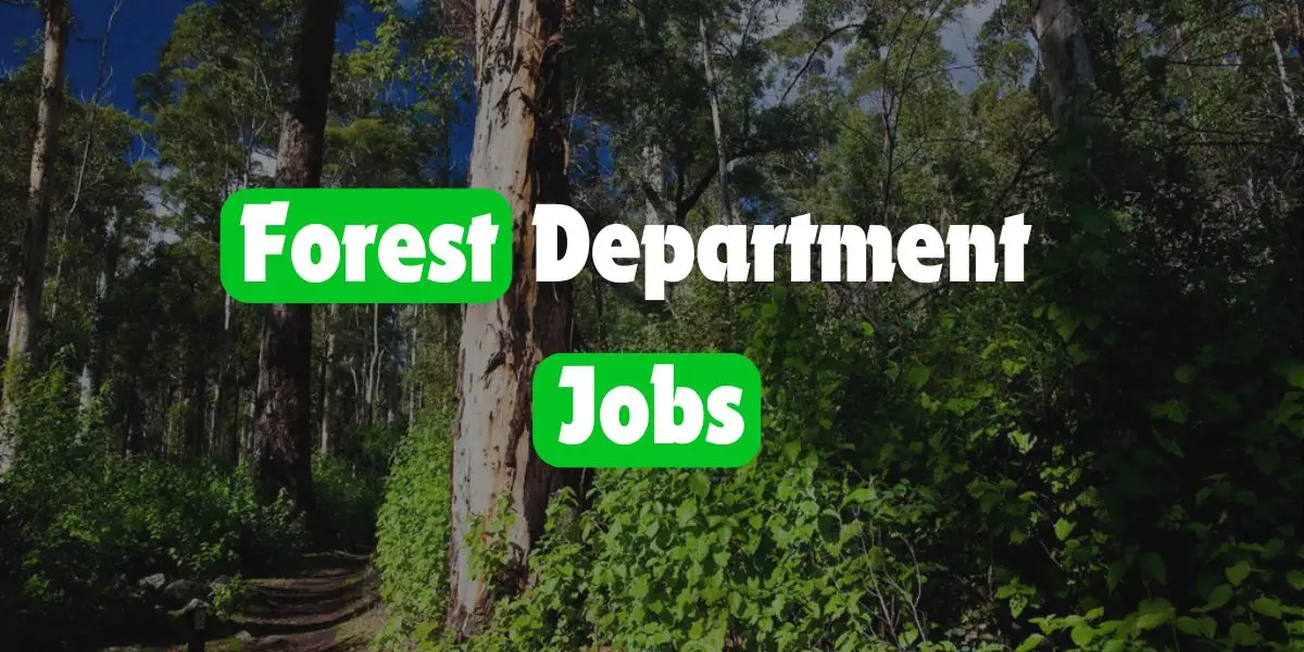 Forest Department Jobs