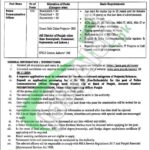 Punjab Safe City Authority Jobs