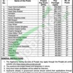 Planning and Development Department Punjab Jobs