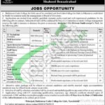 Bakhtawar Cadet College for Girls Shaheed Benazirabad Jobs