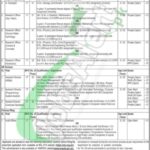 WAPDA Jobs