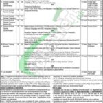 wapda jobs