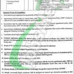 Fatima Jinnah Institute of Dental Sciences Lahore Jobs