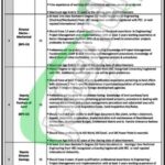 Pakhtunkhwa Energy Development Organization Jobs