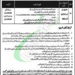 District Health Authority Rawalpindi Jobs